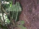 image of grave number 676824